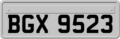 BGX9523