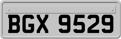 BGX9529