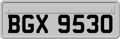 BGX9530