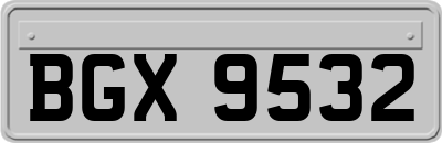 BGX9532