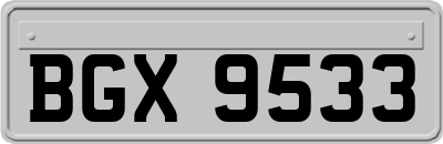 BGX9533