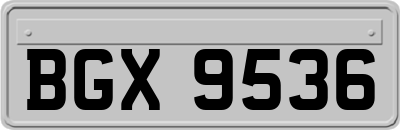 BGX9536