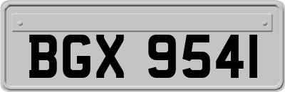 BGX9541