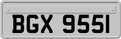 BGX9551