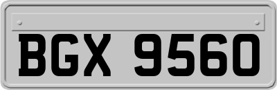 BGX9560