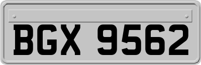 BGX9562