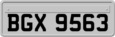 BGX9563