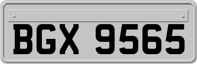 BGX9565