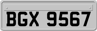 BGX9567