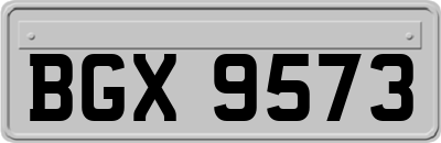 BGX9573