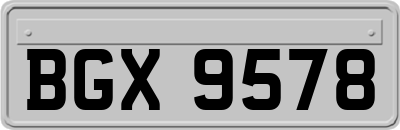 BGX9578