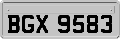 BGX9583