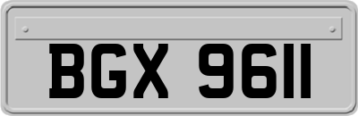 BGX9611