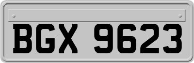 BGX9623