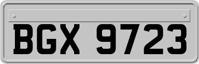 BGX9723