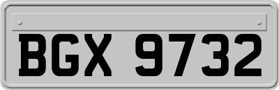 BGX9732