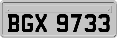 BGX9733