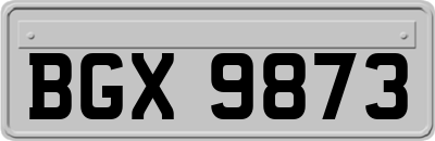 BGX9873