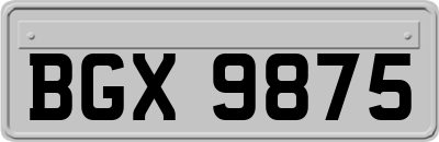 BGX9875