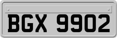 BGX9902