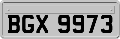 BGX9973