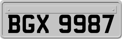 BGX9987