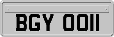 BGY0011