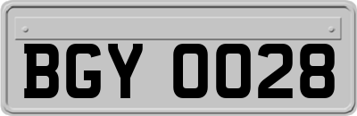 BGY0028