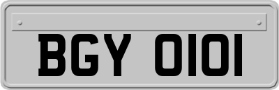 BGY0101