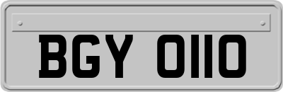 BGY0110