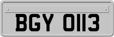 BGY0113