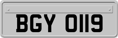 BGY0119