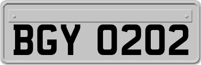 BGY0202