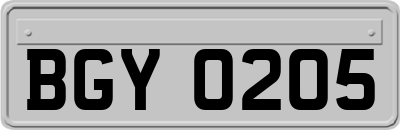 BGY0205