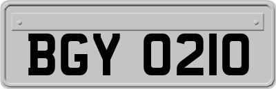 BGY0210