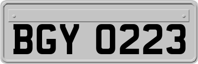 BGY0223