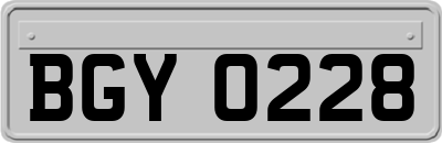 BGY0228