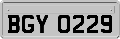 BGY0229
