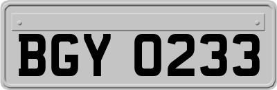 BGY0233