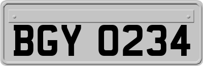 BGY0234
