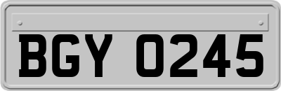 BGY0245