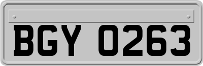 BGY0263