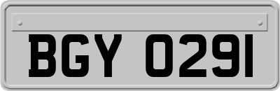 BGY0291