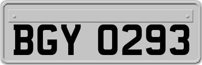 BGY0293
