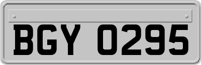 BGY0295