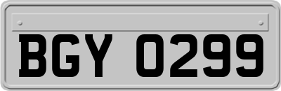 BGY0299