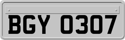 BGY0307