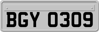BGY0309