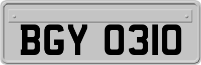 BGY0310
