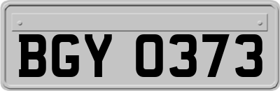 BGY0373